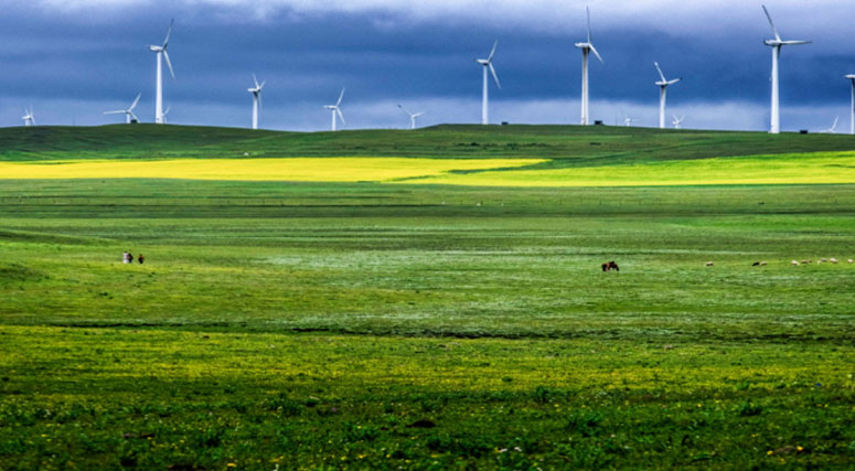 内蒙古政校合作，传播低碳发展正能量
