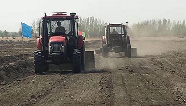 内蒙古盐碱地改良的成功实施可以提高农民的生活水平